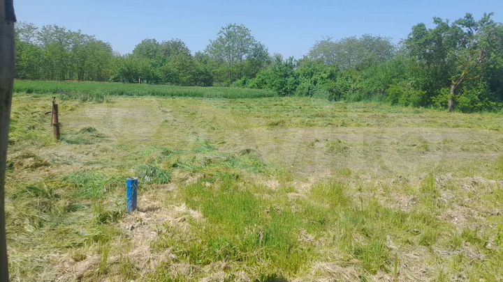 Дом 39 м² на участке 25 сот.