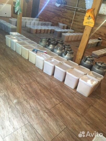 Рапсовый мёд