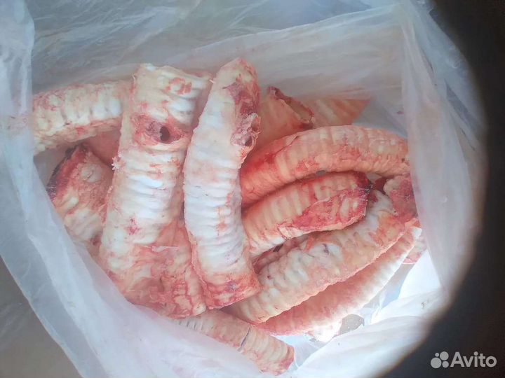 Трахея говяжья на корм и сушку для животных