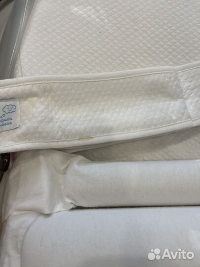 Кокон зевушка