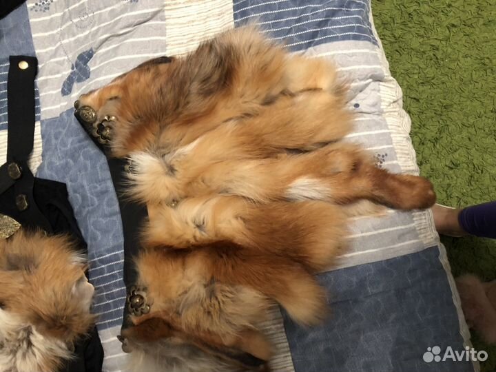 Костюм из лисы