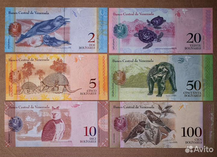Банкноты Венесуэлы