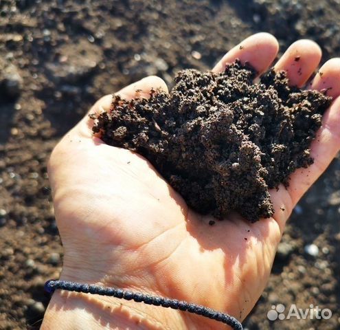 Растительный грунт