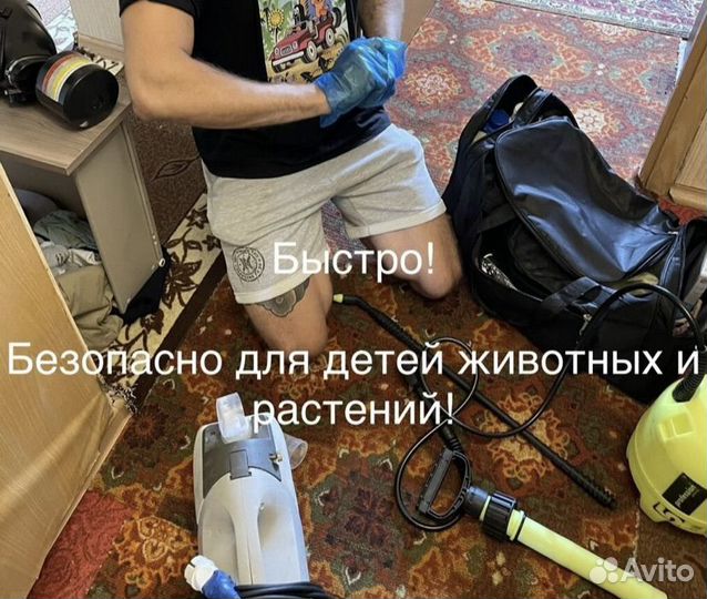 Уничтожение клопов и тараканов дезинфекция