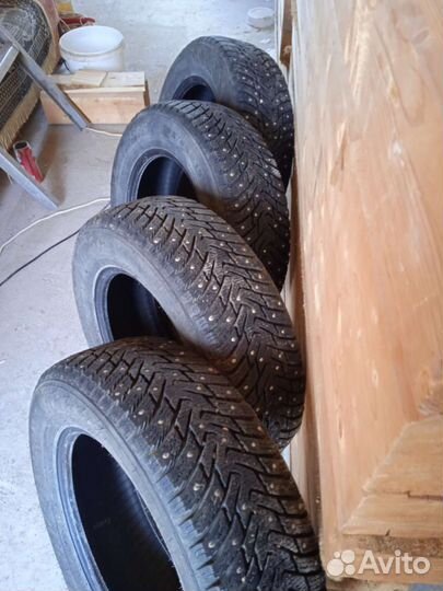 Nokian Tyres Nordman 8 195/65 R15