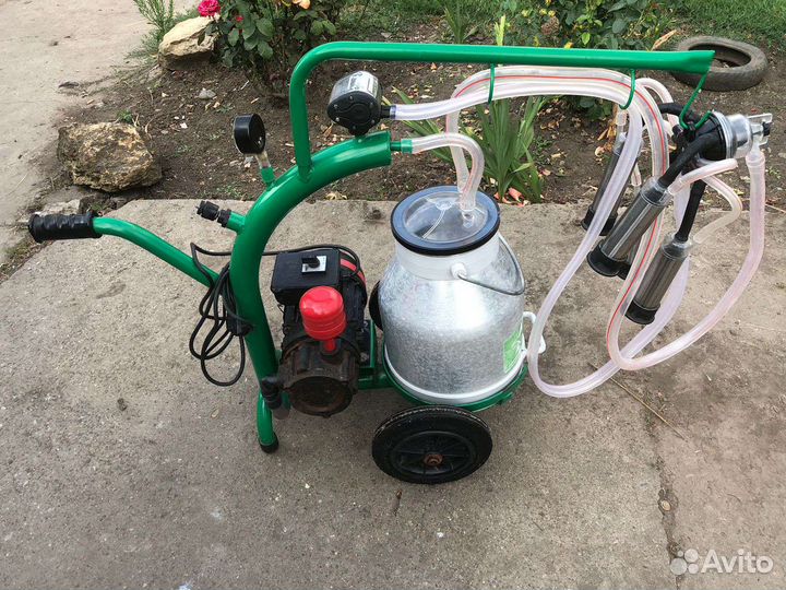 Доильный аппарат для коров