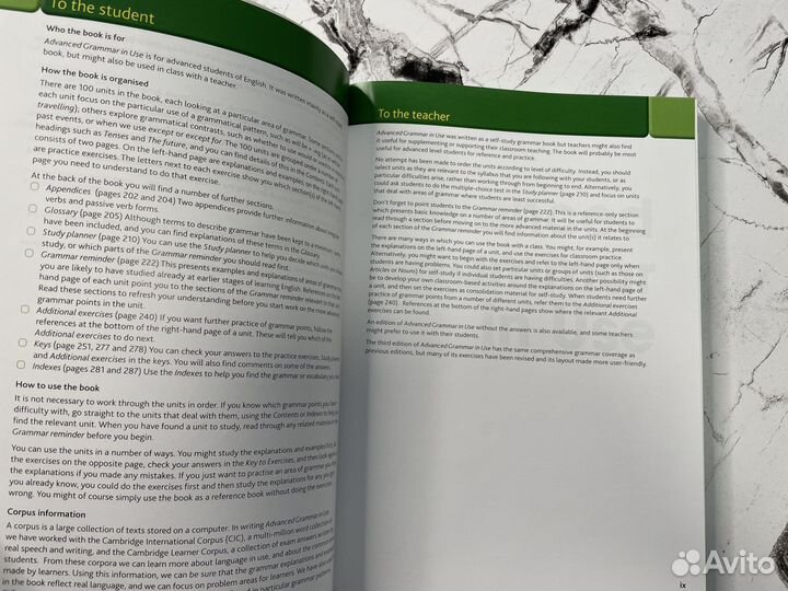 Advanced Grammar in use Big