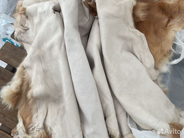 Шкурки кролика