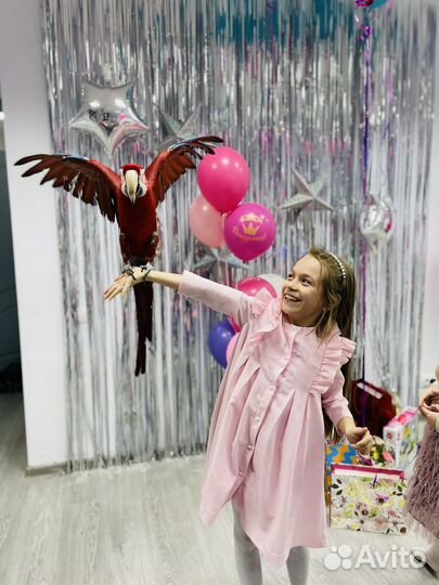 Детские праздники, аренда помещения