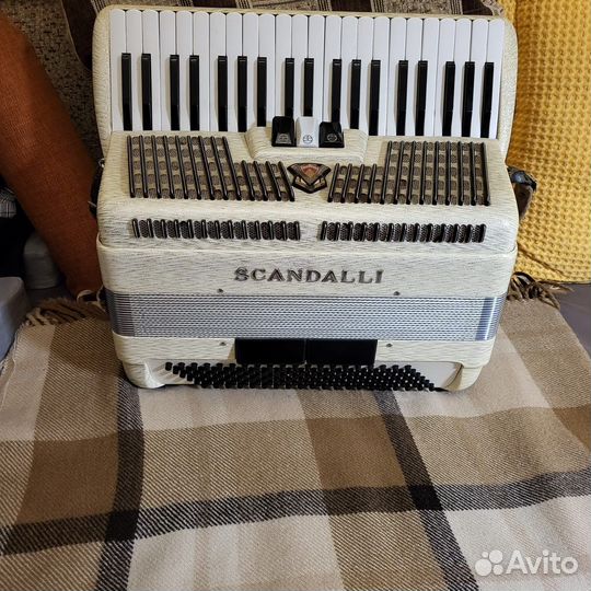 Аккордеон scandalli