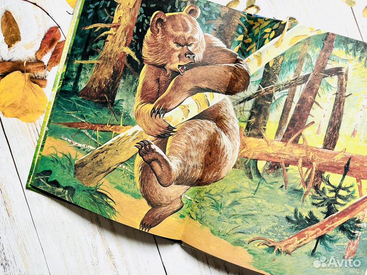 Теремок мухи. Русская народная сказка