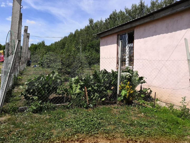 Участок 55 сот. (СНТ, ДНП)