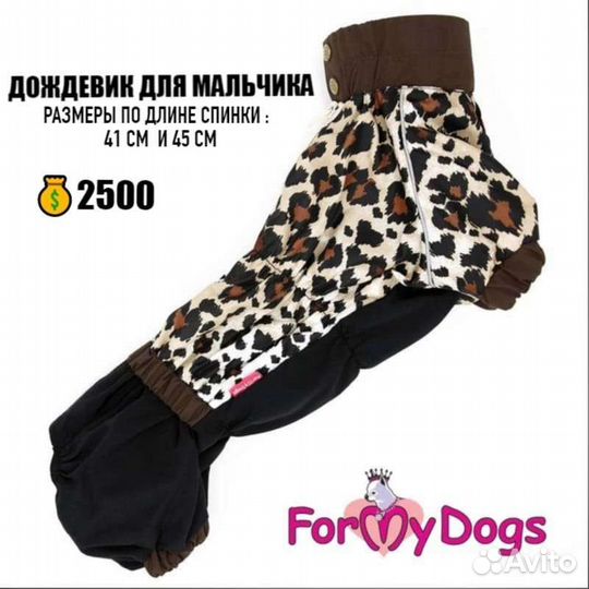 Дождевики для корги for my dogs