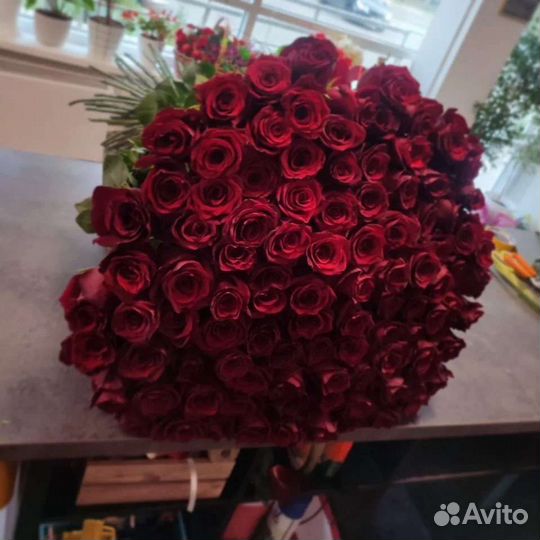 Розы выше +100 см в ассортименте