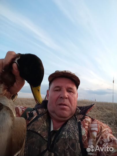 Продать уток