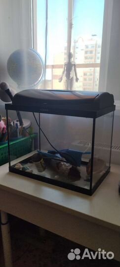 Аквариум с фильтром 30 литров