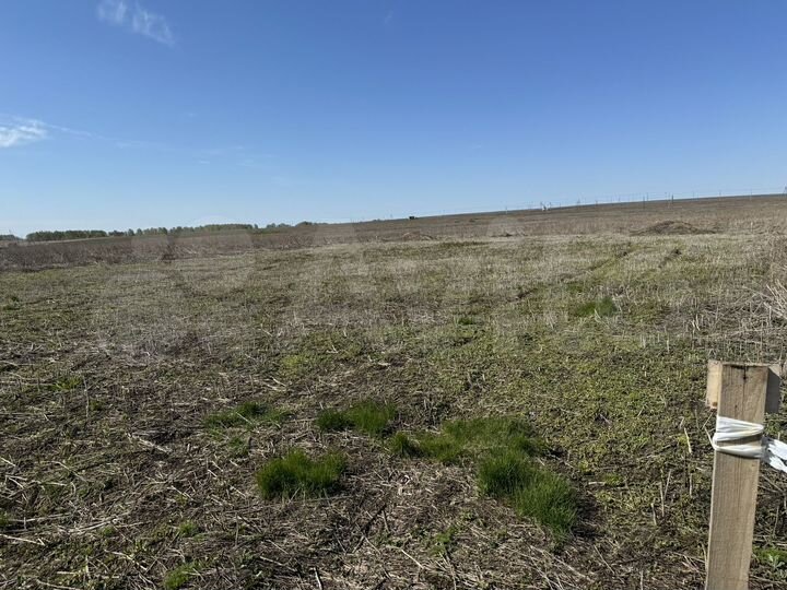 Участок 8,1 сот. (ИЖС)