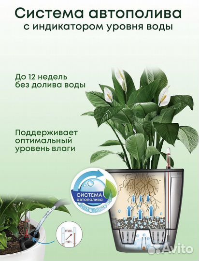 Кашпо с автополивом lechuza