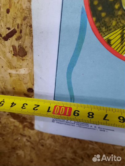 Учебные плакаты СССР