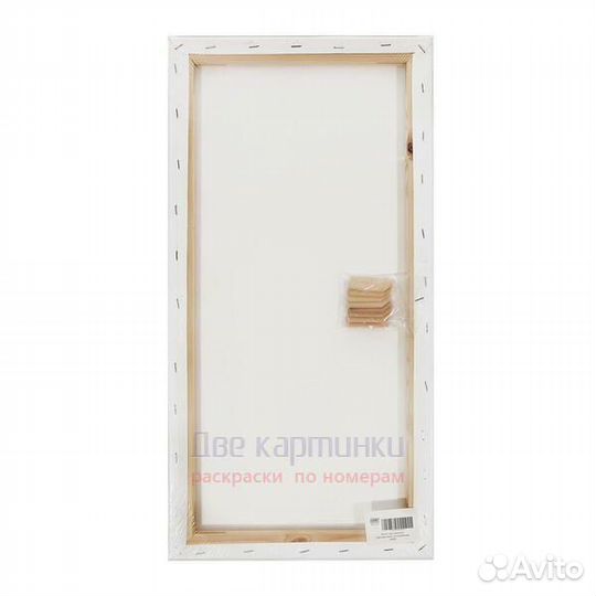 Холст Две картинки на подрамнике 30X60