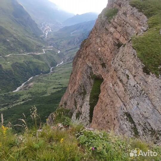 Путешествия. Экскурсии по Горам