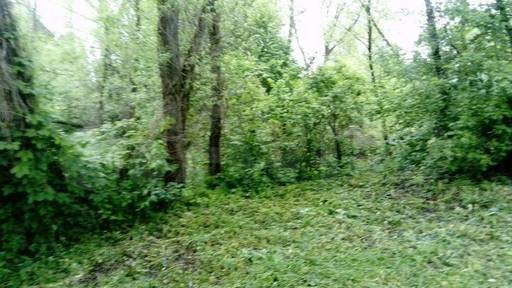 Дача 50 м² на участке 15 сот.