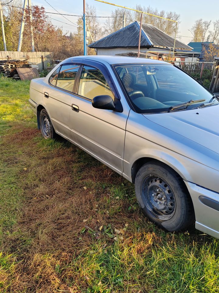 Nissan Sunny: фото владельца