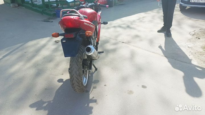Yamasaki scorpion 1 50сс
