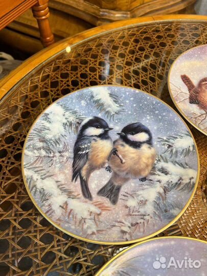 Настенная тарелка птицы