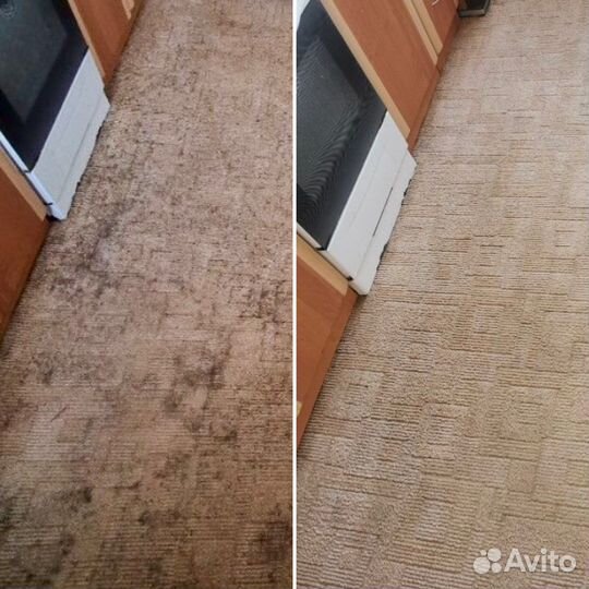 Аренда моющего пылесоса