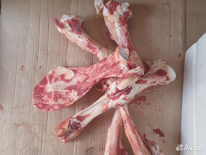 Свежий кости Говяжий