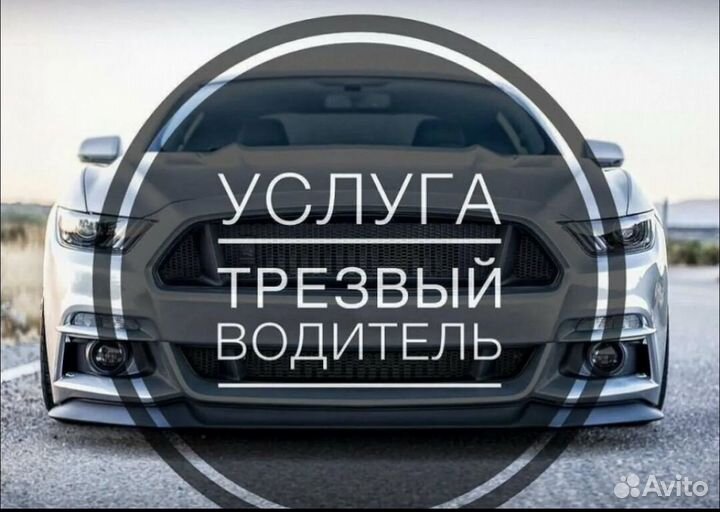 Трезвый водитель 24