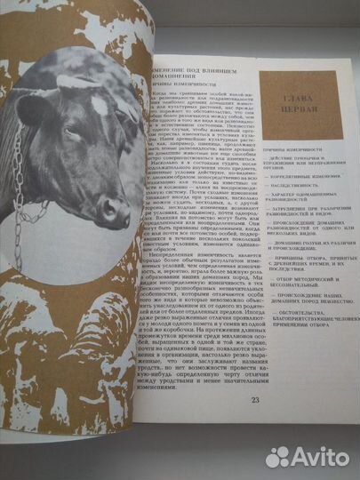 Чарлз Дарвин 