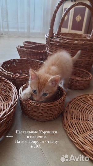 Корзины пасхальные