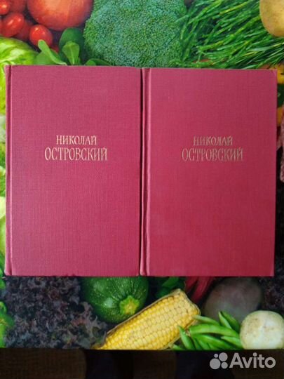 Николай Островский