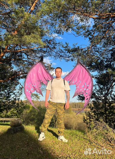 Крылья демона