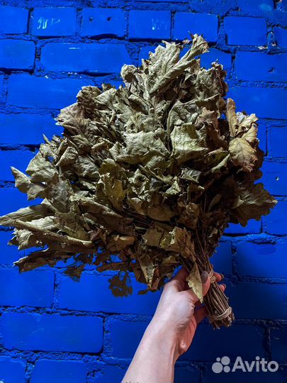 Веники дубовые и березовые