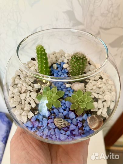 Флорариум с суккулентами