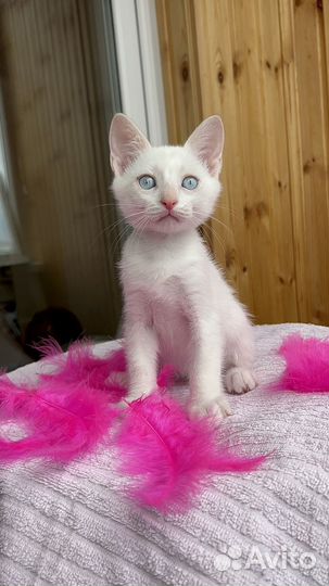 Мальчик с грустным лицом