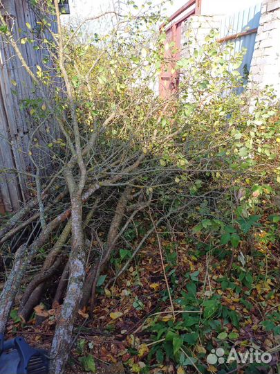 Разнорабочий