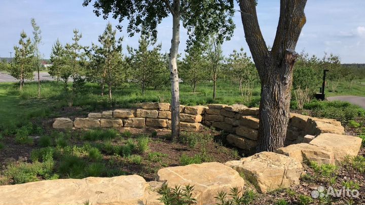 Садовые работы, перекопка земли мотоблоком