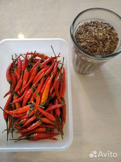 Семена укропа