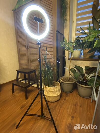 Кольцевая светодиодная лампа 26 см