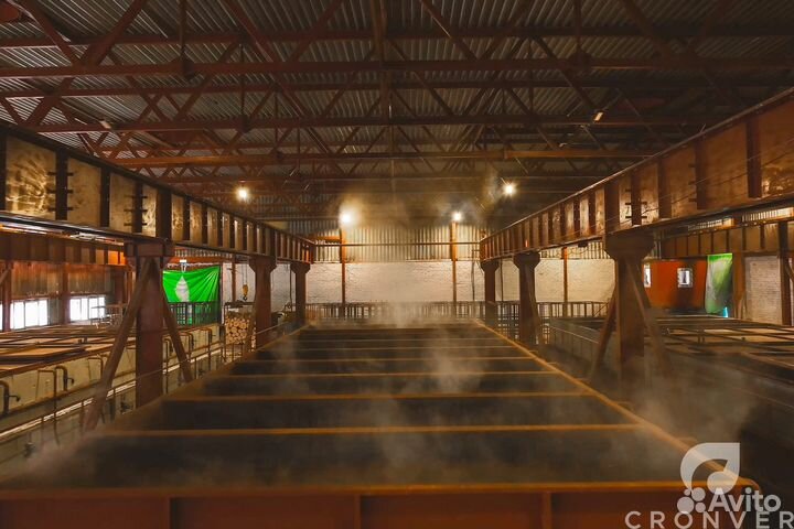 Линия раскряжёвки бревна