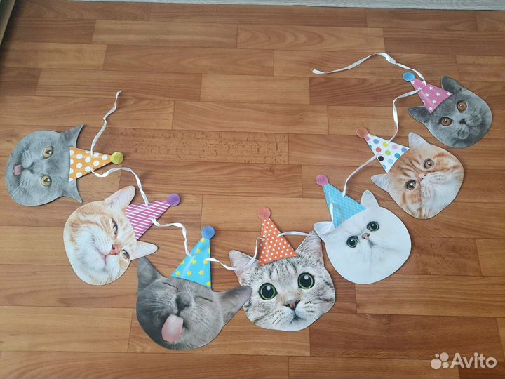 Растяжка котики