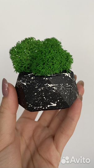 Декор поднос кашпо со мхом