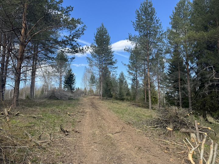 Участок 15 сот. (ИЖС)