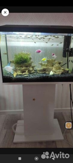 В аквариум декор, грунт, искусственные кораллы