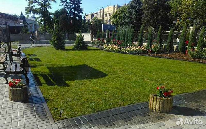 Рулонный газон напрямую от производителя