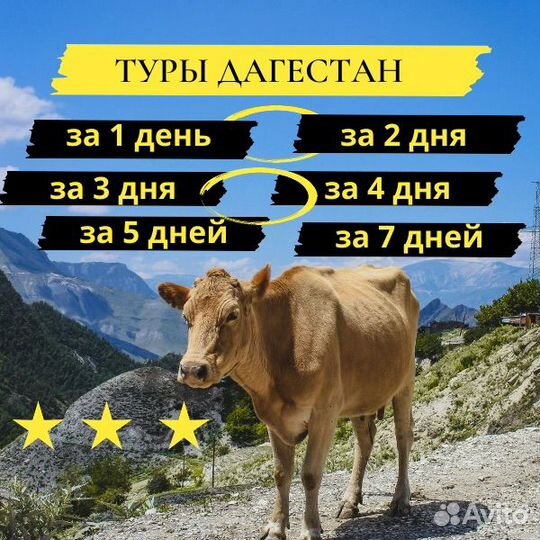 Туры Дагестан